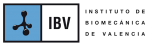 ibv-logo